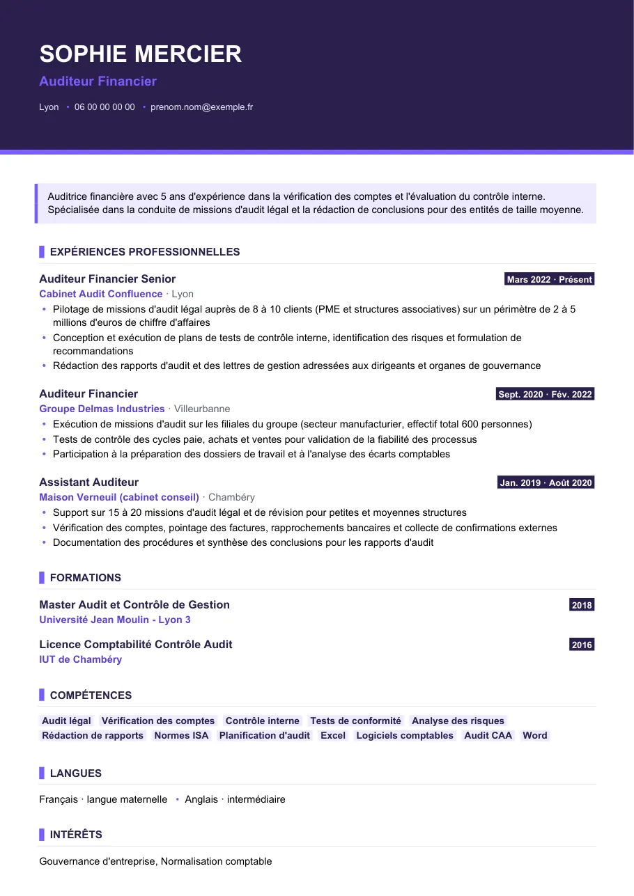 Exemple de CV de rédiger un cv d'auditeur financier efficace, modèle Visuel d'IGOR