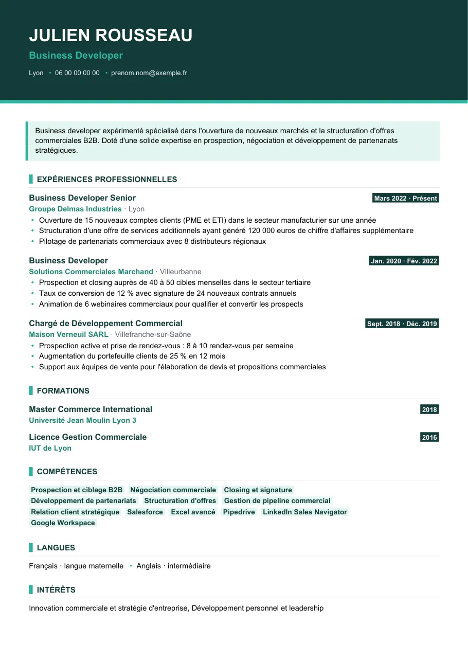 Exemple de CV de cv de business developer, modèle Visuel d'IGOR