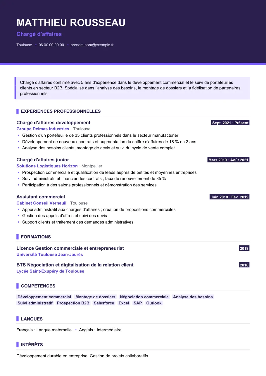 Exemple de CV de cv de chargé d'affaires en banque, modèle Visuel d'IGOR