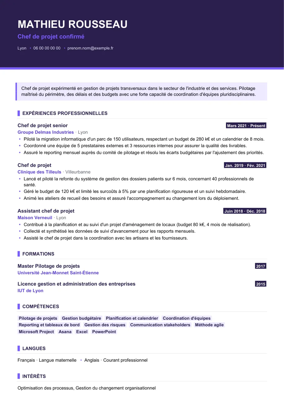 Exemple de CV de cv chef de projet : périmètre, budget, délais, modèle Visuel d'IGOR