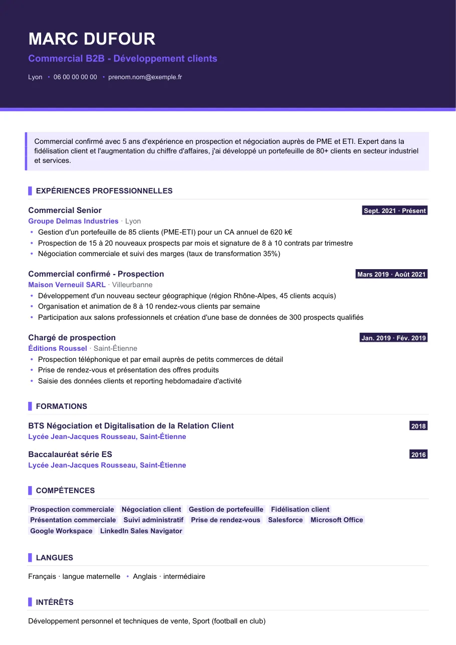 Exemple de CV de rédiger un cv de commercial efficace, modèle Visuel d'IGOR