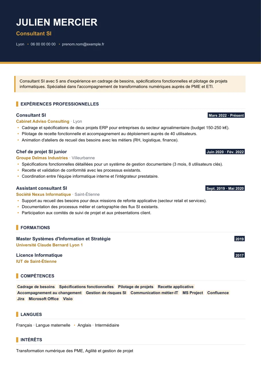 Exemple de CV de cv de consultant si, modèle Visuel d'IGOR