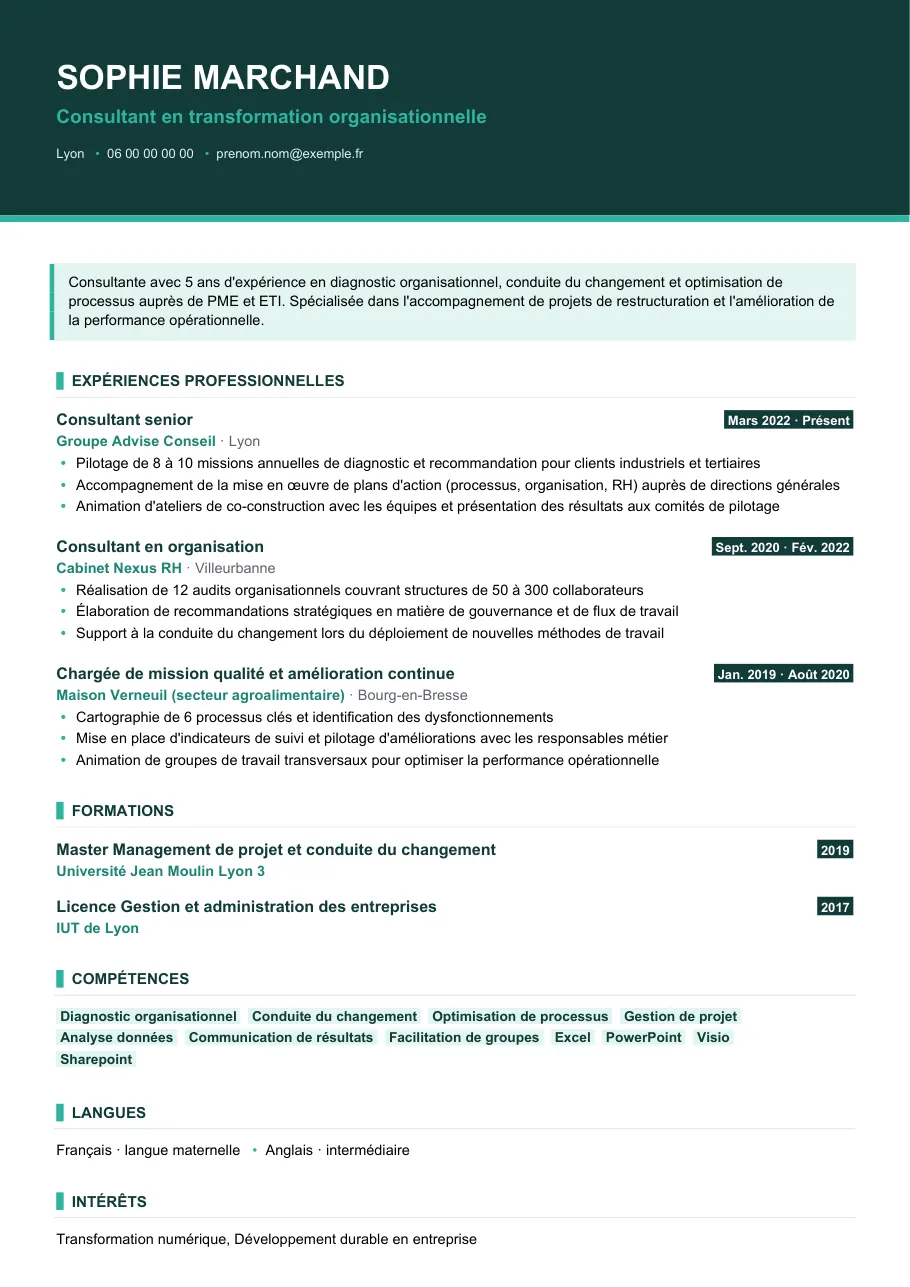 Exemple de CV de cv de consultant : le guide complet, modèle Visuel d'IGOR