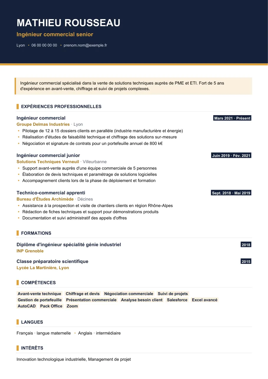Exemple de CV de cv ingénieur commercial : le guide complet, modèle Visuel d'IGOR