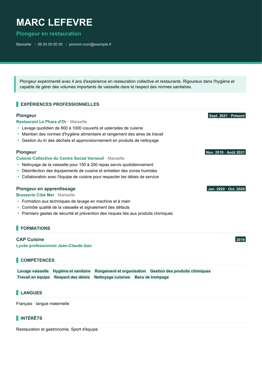 Exemple de CV de cv de plongeur : les quarante premières secondes qui comptent, modèle Visuel d'IGOR