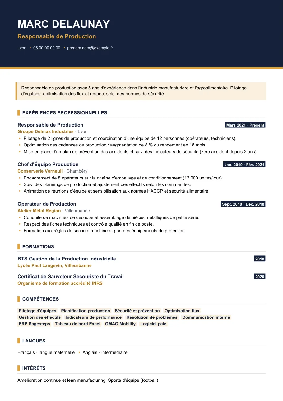 Exemple de CV de cv responsable de production, modèle Visuel d'IGOR