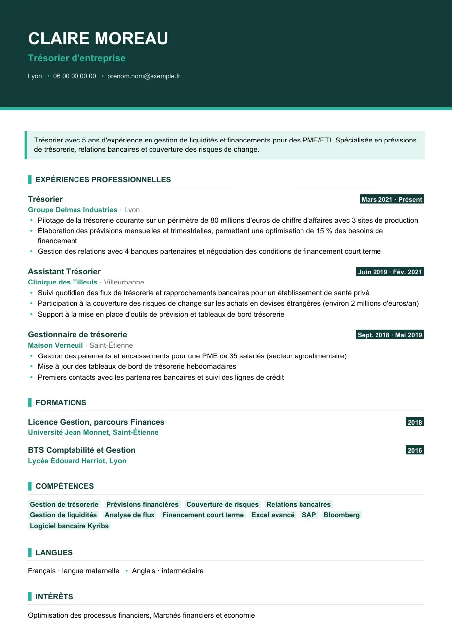 Exemple de CV de cv de trésorier d'entreprise, modèle Visuel d'IGOR